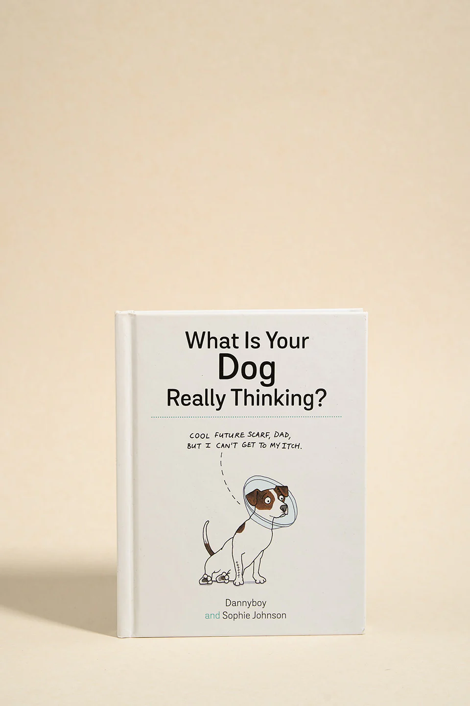 What Is Your Dog Really Thinking?